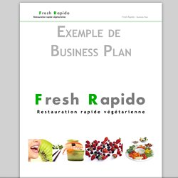 exemple de business plan pdf