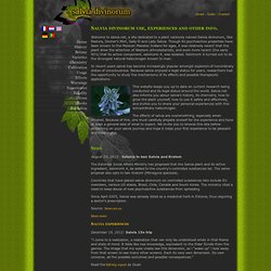 Theme sex on salvia divinorum experience think, what With sex on salvia divinorum experience opinion you