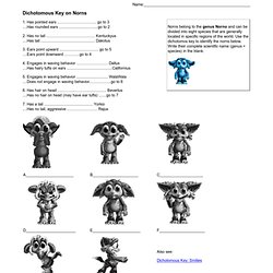 Printables Dichotomous Key Worksheet dichotomous key worksheet answers dog shark rose intrepidpath worksheets animals
