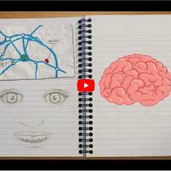 The High Cost Of Neuromyths In Education >> The Learning Brain Pearltrees The High Cost Of Neuromyths In Education >> The Learning Brain Pearltrees