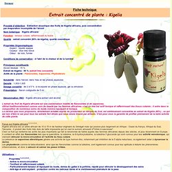 fiche produit cosmétique fiche produit cosmétique