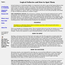Argumentative essay fallacy